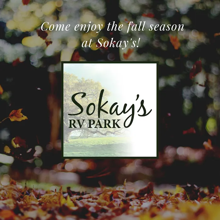 Sokay's RV Park Picture 2