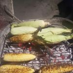 H P Herzog Mobile Home Park