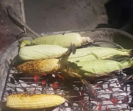 H P Herzog Mobile Home Park