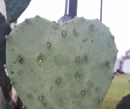 Beck Mobile Home Park