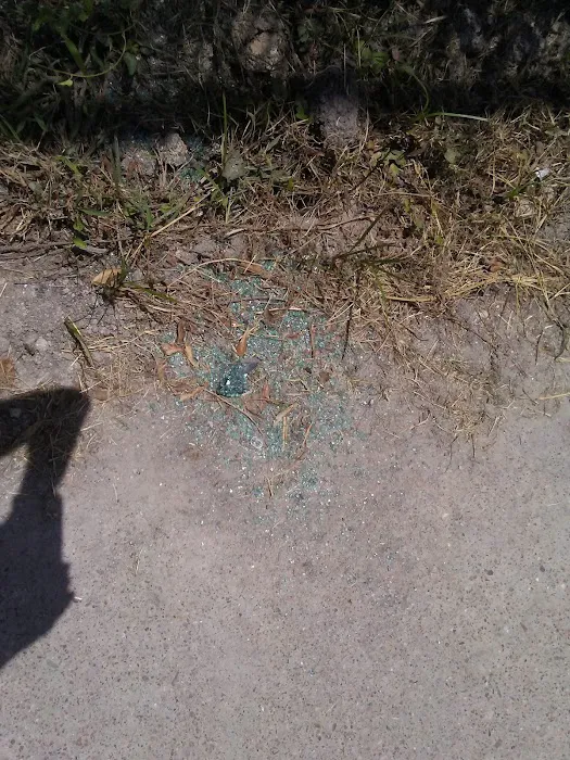 Anderson Oaks Park Picture 3