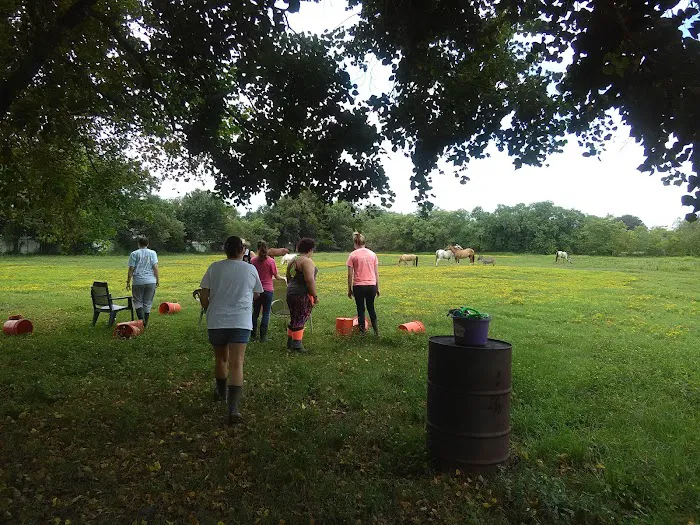 Meadows Picture 3