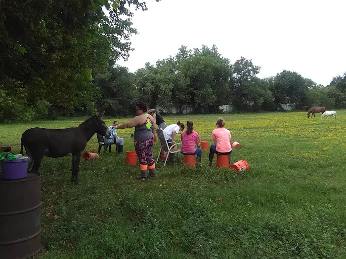 Meadows Picture 4