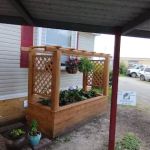 Murphy Road Mobile Home Park