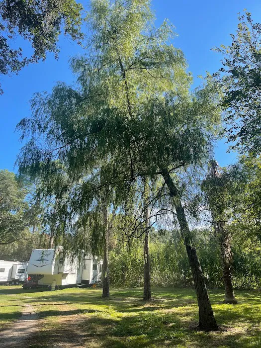 Rossi Properties LLC Picture 7