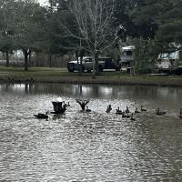 Heights RV Park ico