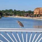 Space Center RV Park