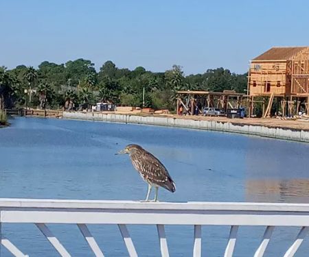 Space Center RV Park