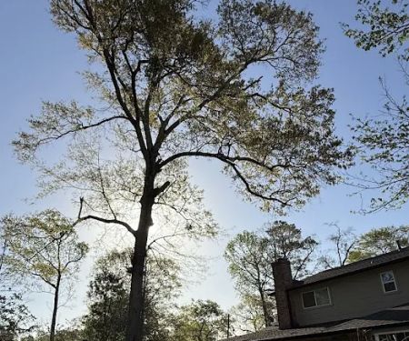 Dickinson Trailer Park