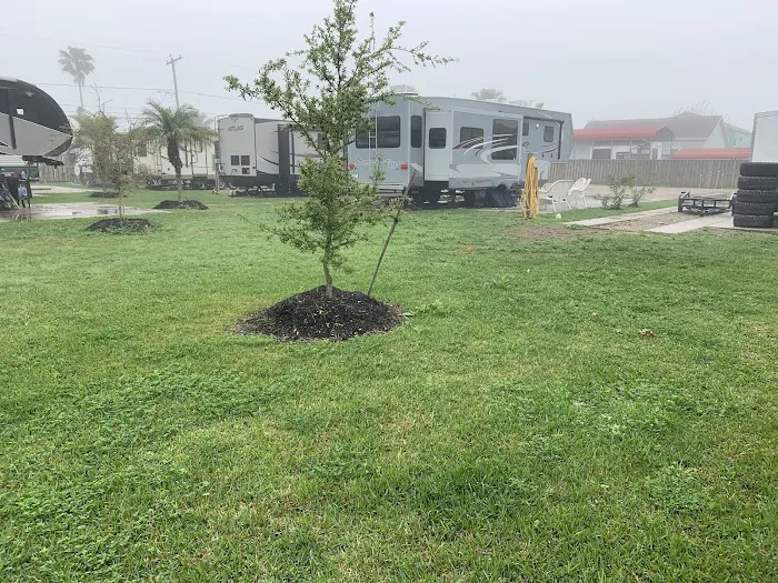 Green Parrot RV Park Picture 4