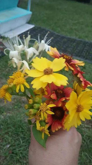 Magnolia’s Pond RV Park Picture 8