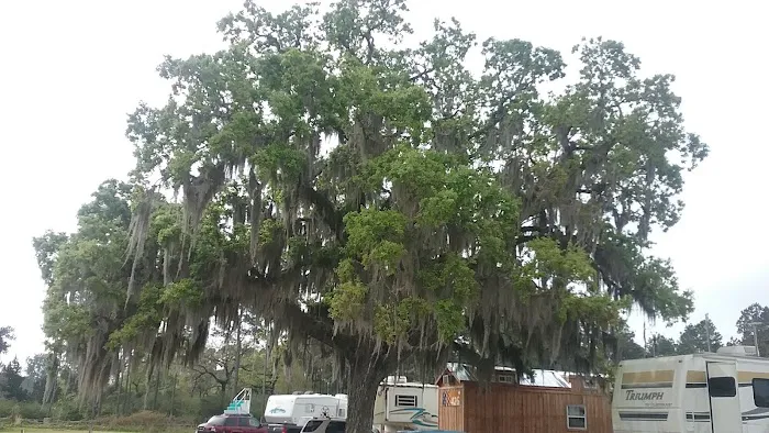 Magnolia’s Pond RV Park Picture 5