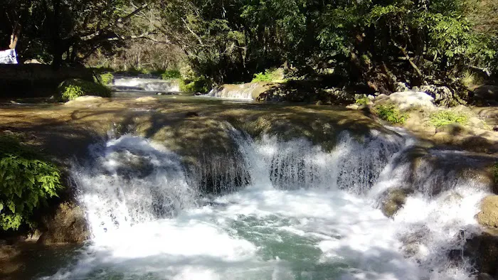 Waller Country Village Picture 3