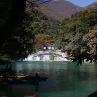 Waller Country Village ico