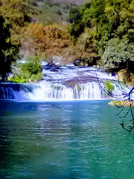 Waller Country Village Picture 4