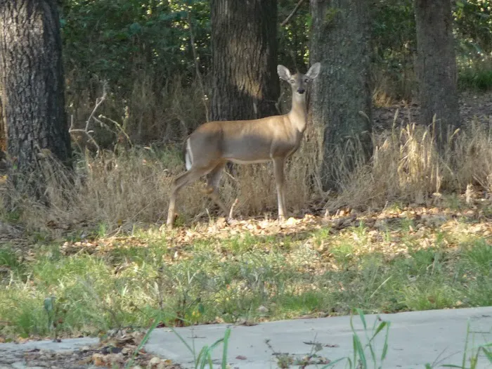 Wind Point Park Picture 6