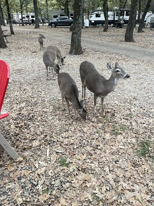 Wind Point Park Picture 9
