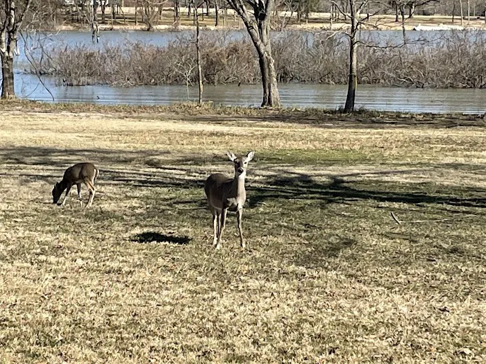 Wind Point Park Picture 10