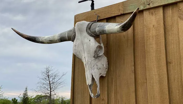 Freedom Birds RV Park Picture 2