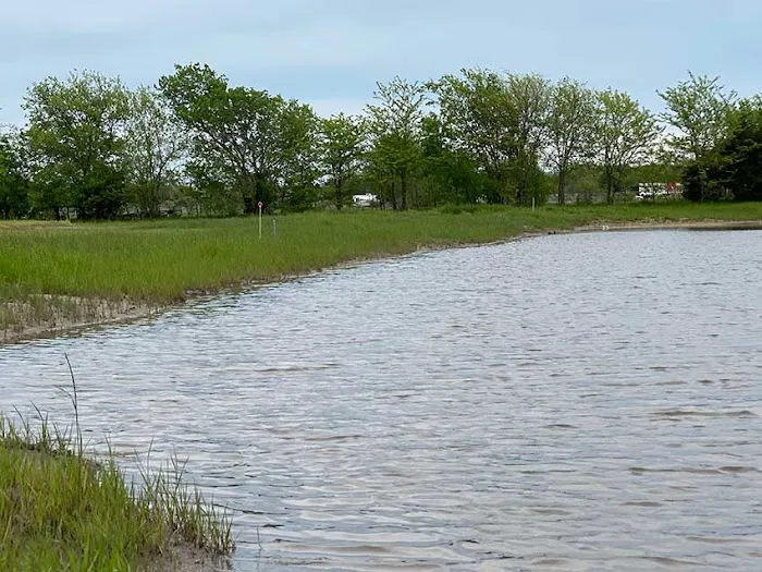 Freedom Birds RV Park Picture 5