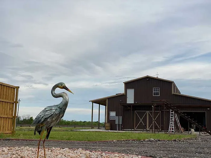 Freedom Birds RV Park Picture 8