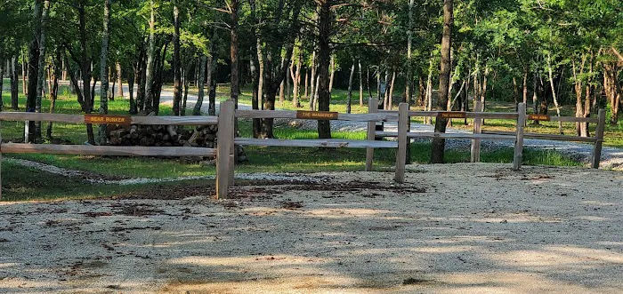 Hidden Forest Lake (RV Park Model Extended Stay RV Park) Picture 7