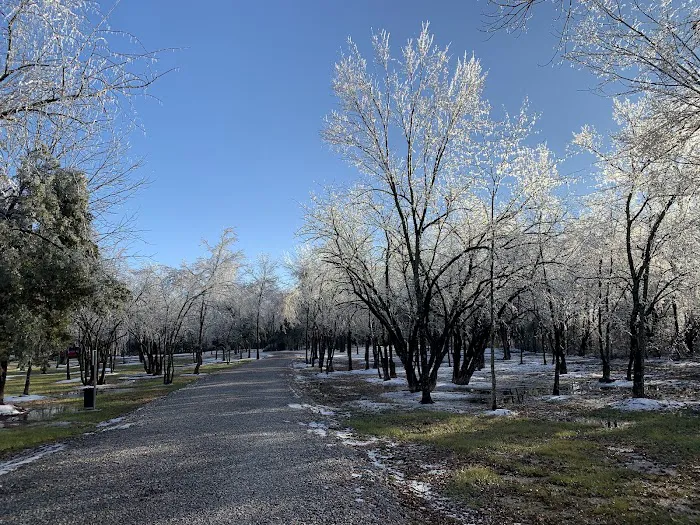 Hidden Forest Lake (RV Park Model Extended Stay RV Park) Picture 10