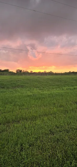 Brushy Creek Resort Picture 3