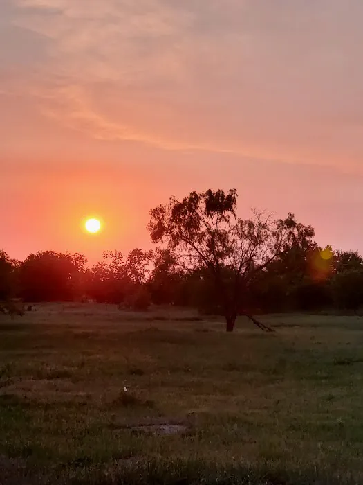 Premier RV Park Picture 1