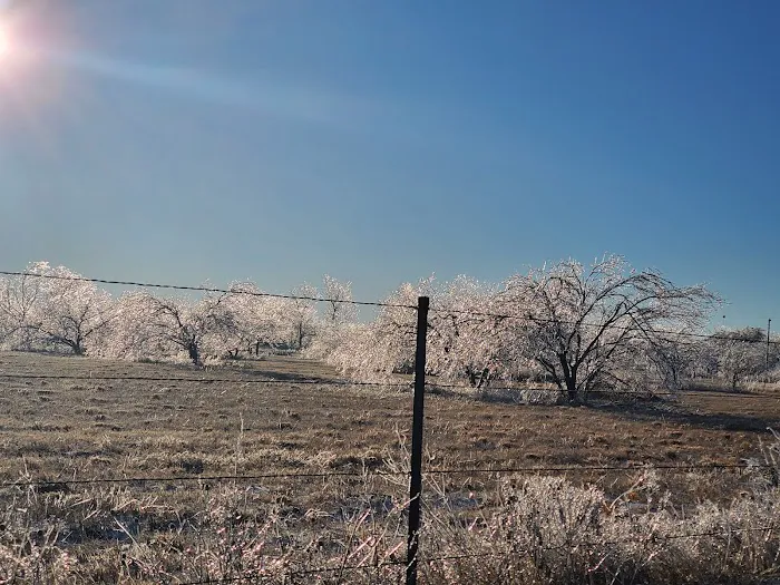 Premier RV Park Picture 4