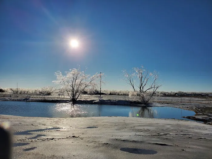 Premier RV Park Picture 6