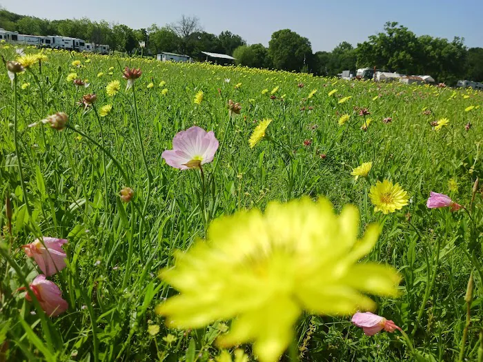 Waco RV Park Picture 6