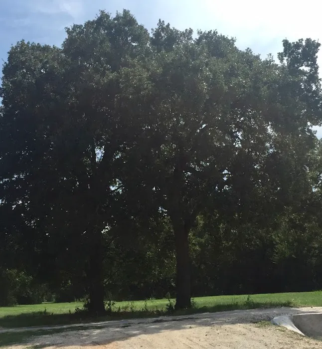 Waco RV Park Picture 3