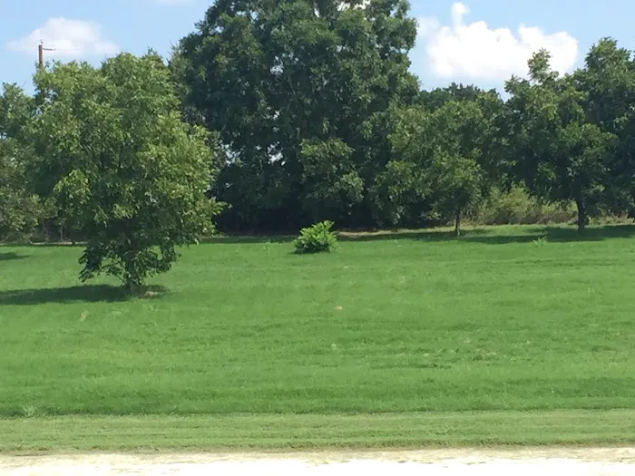 Waco RV Park Picture 7