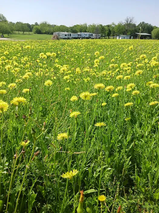 Waco RV Park Picture 5