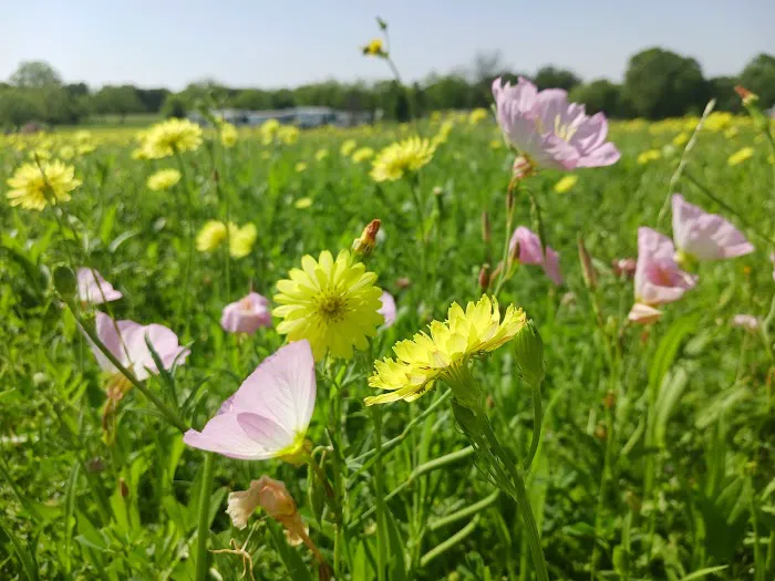 Waco RV Park Picture 10