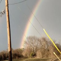 Clover Leaf Mobile Home Estate ico