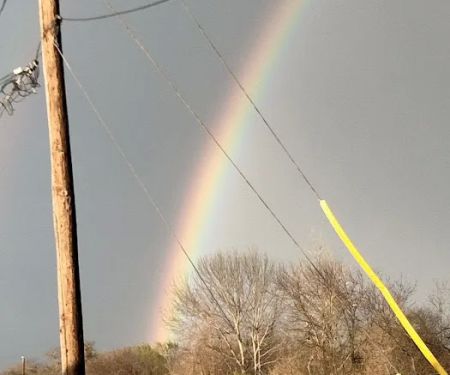 Clover Leaf Mobile Home Estate