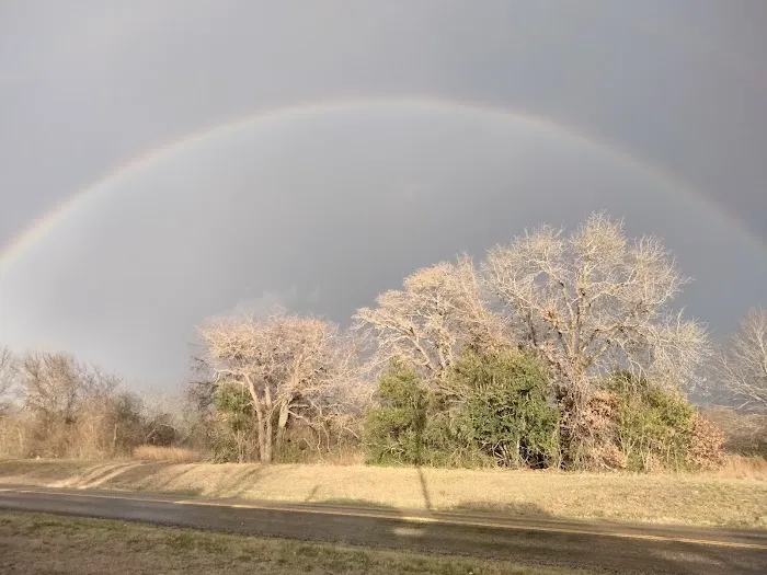 Clover Leaf Mobile Home Estate Picture 4