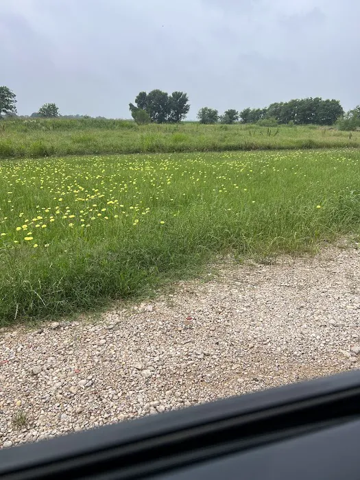 Downs Farm RV Park Picture 1