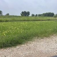 Downs Farm RV Park ico