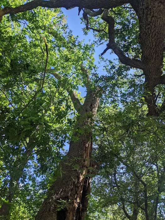 Route 6 RV Park Picture 8