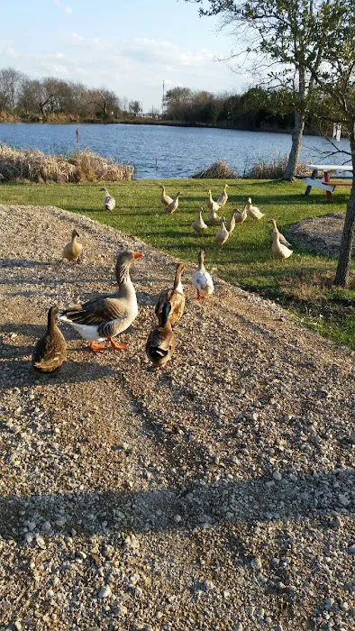 Waco RV Resort Picture 3