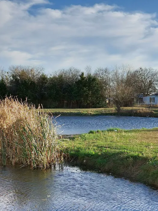 Waco RV Resort Picture 4