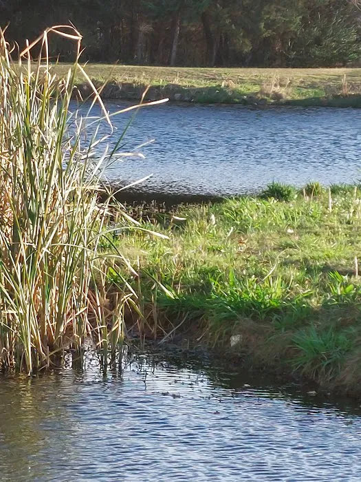 Waco RV Resort Picture 10