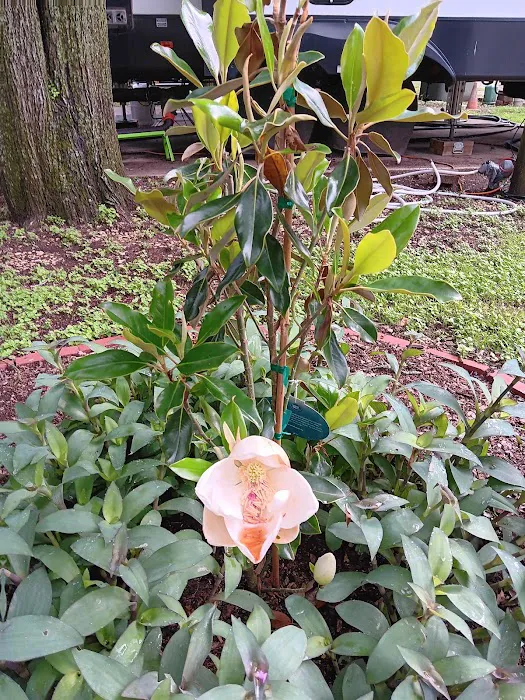 North Crest RV Park & Propane Picture 2