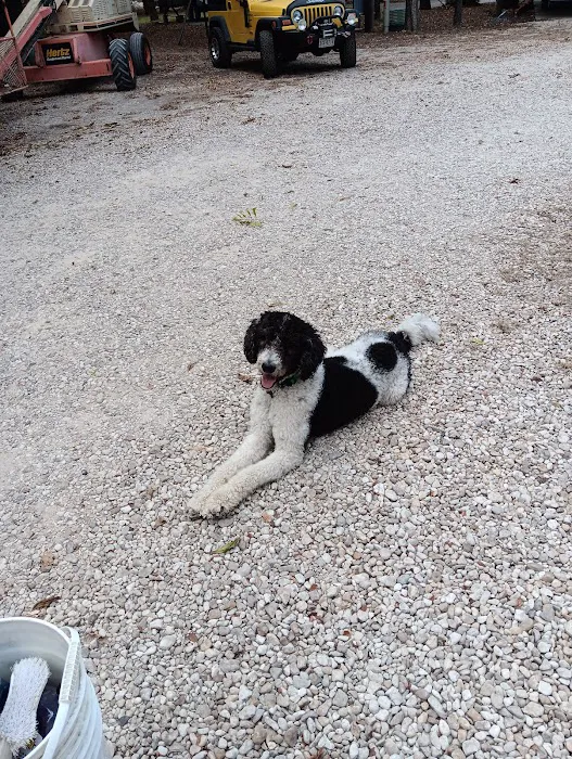 North Crest RV Park & Propane Picture 5