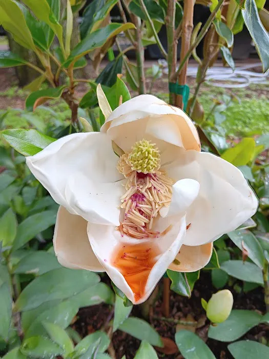 North Crest RV Park & Propane Picture 7