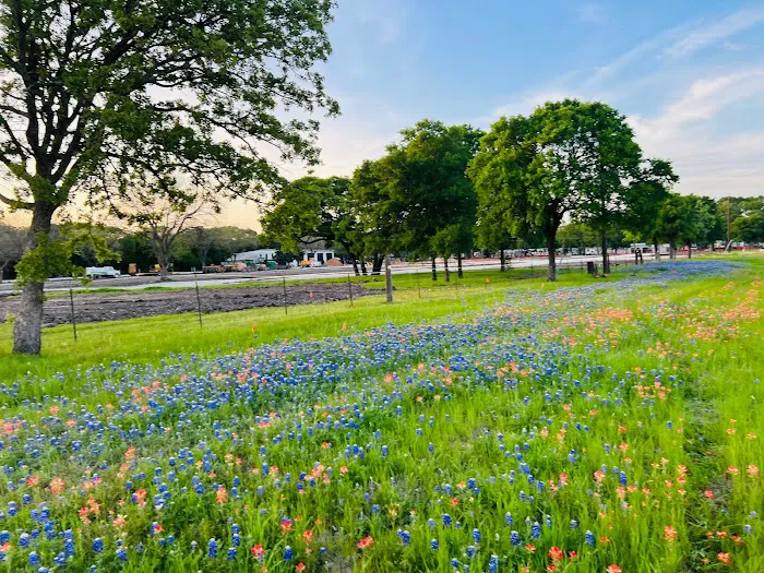 Magnolia RV Resort Picture 6