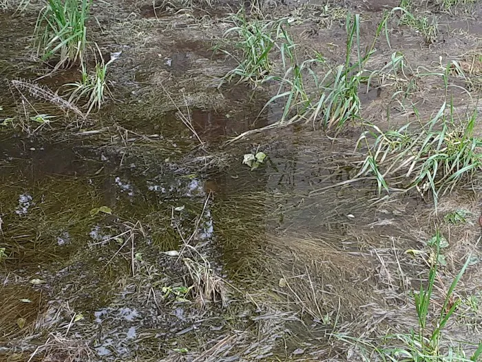 Lavega Mobile Home Estates #2 Picture 2